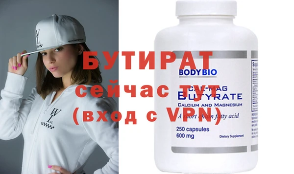 индика Сатка