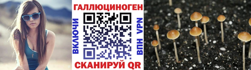 наркота  Гуково  Псилоцибиновые грибы мицелий 